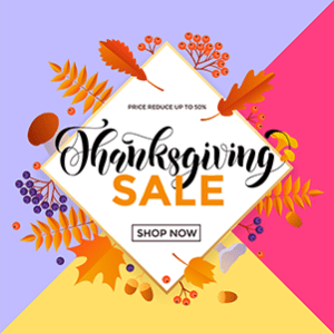 Thanksgiving Day Sale in 2020