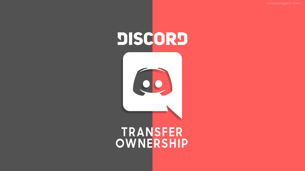 How to transfer Discord Ownership